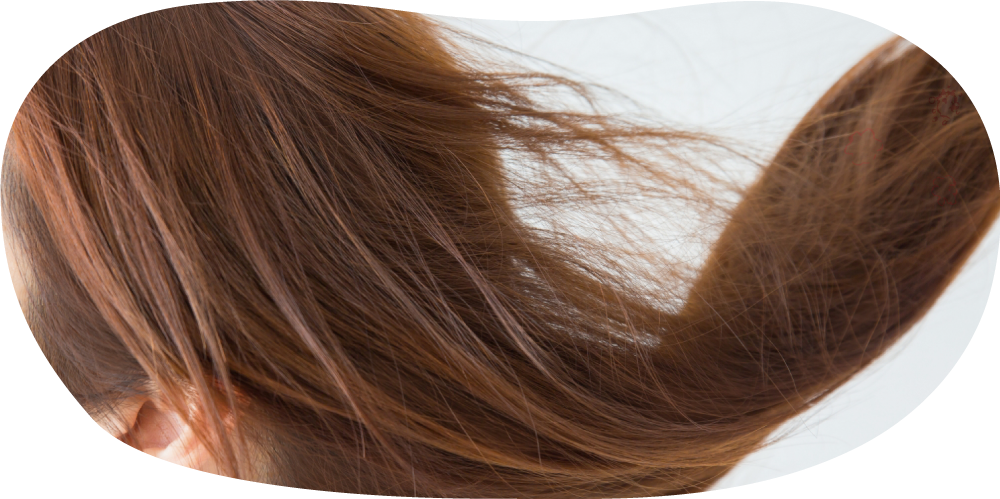 東京銀座の人気サロンで培った技術とサービスをご提供します