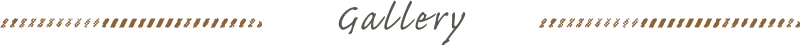 ギャラリー